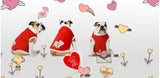 Felpe e pile English bulldog