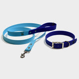 set collare + guinzaglio vegan royal-aqua personalizzato