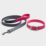 set collare + guinzaglio vegan grigio-fucsia personalizzato