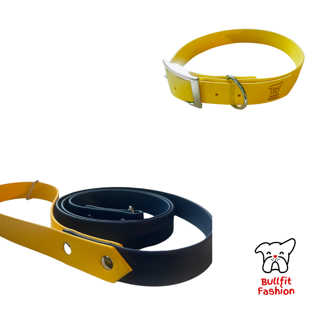 set collare + guinzaglio vegan navy- giallo tuorlo d'uovo personalizzato