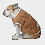 TEDDY BISCOTTO – Limited Edition Bullfit Fashion - immagine 3
