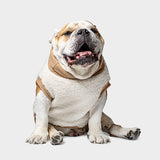 TEDDY LATTE – Limited Edition Bullfit Fashion - immagine 2