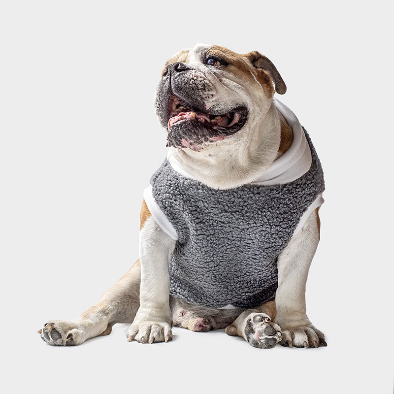 Teddy Ghiaccio – Limited Edition Bullfit Fashion - immagine 3