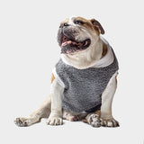 Teddy Ghiaccio – Limited Edition Bullfit Fashion - immagine 3
