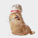 Impermeabile glass trasparente bulldog - immagine 3