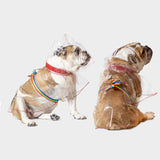 Impermeabile glass trasparente bulldog - immagine 4