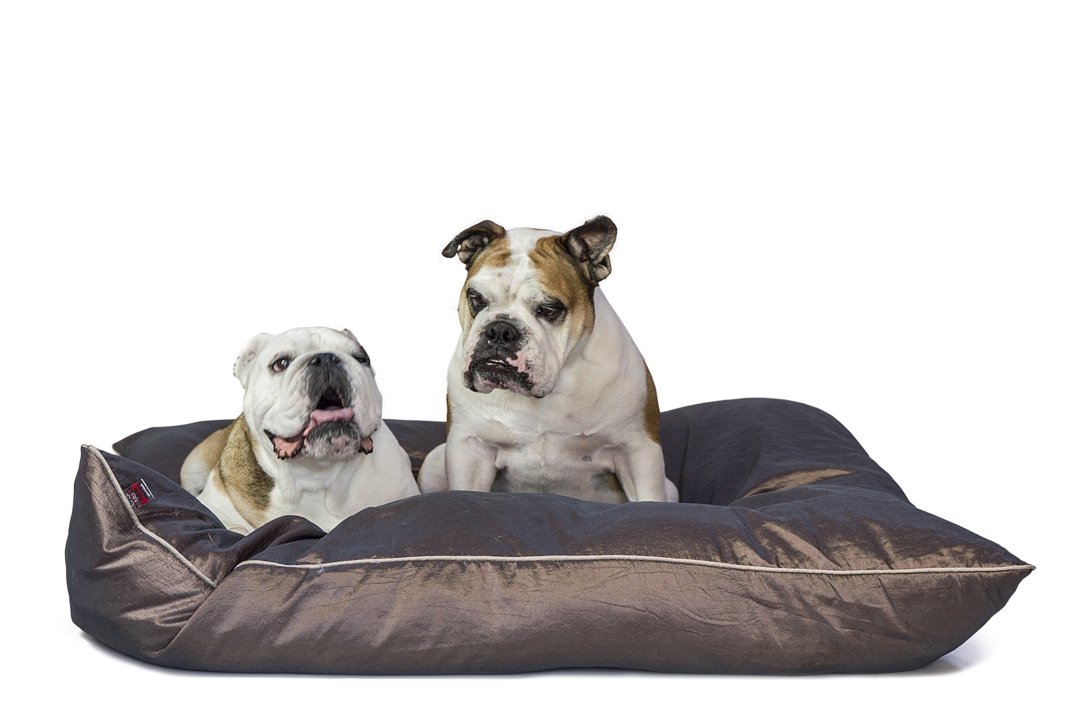 Cuscinone COCCOLE maxi