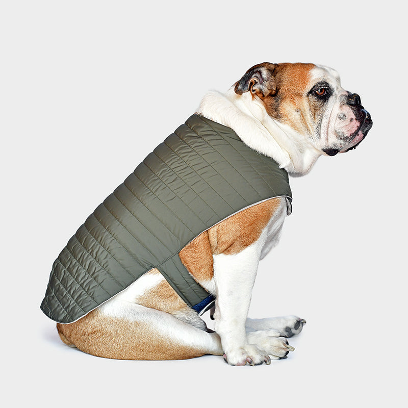 #khaki limited edition