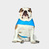 #puffo limited edition