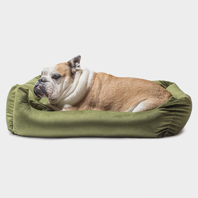#olive