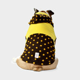#cioccolato - giallo