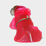 #fucsia fluo