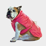 #fucsia