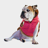 #fucsia
