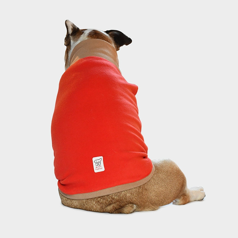 #corallo - camel